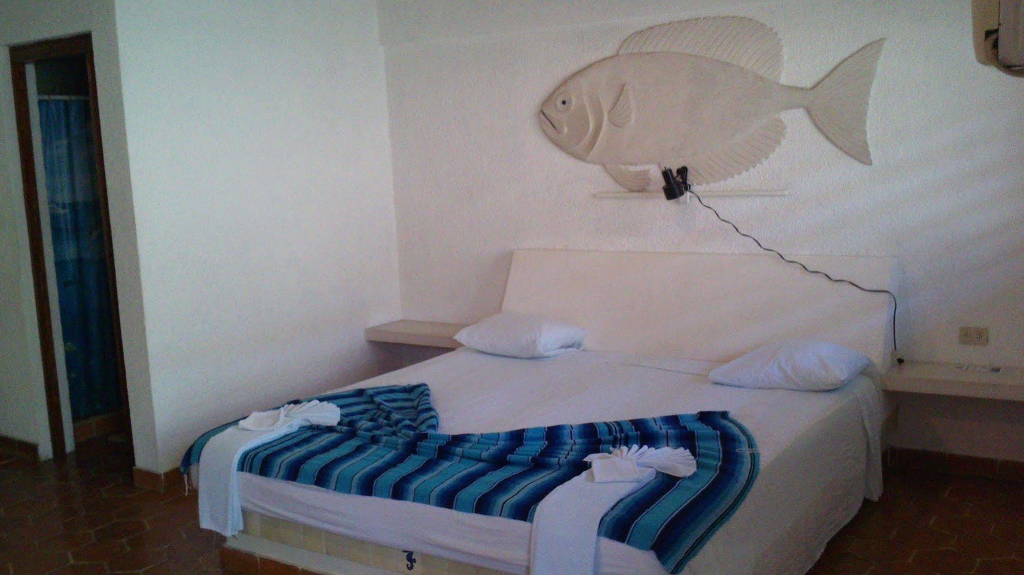 Safari Inn Cozumel Eksteriør bilde