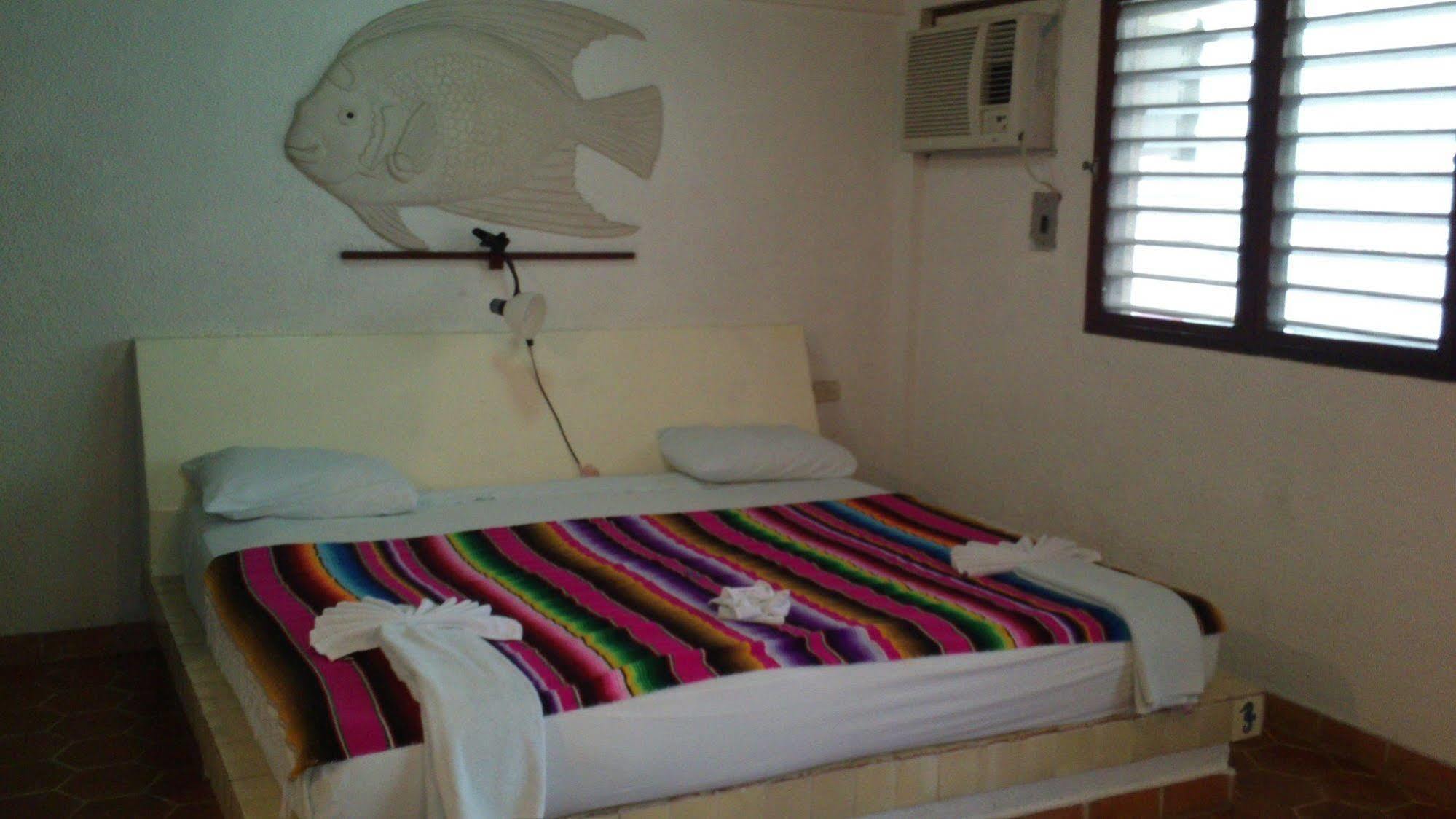 Safari Inn Cozumel Eksteriør bilde